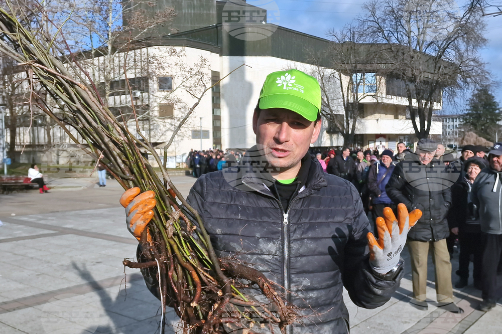Разград - дръвчета - инициатива