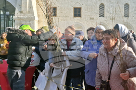 Разград - дръвчета - инициатива