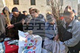 Разград - дръвчета - инициатива