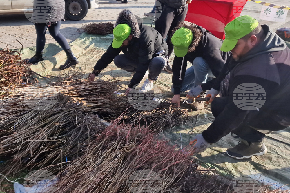 В Самоков ще бъдат дарени 15 000 дръвчета в рамките на национална кампания