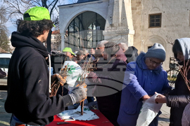 Разград - дръвчета - инициатива