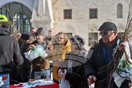 Разград - дръвчета - инициатива