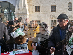 Разград - дръвчета - инициатива