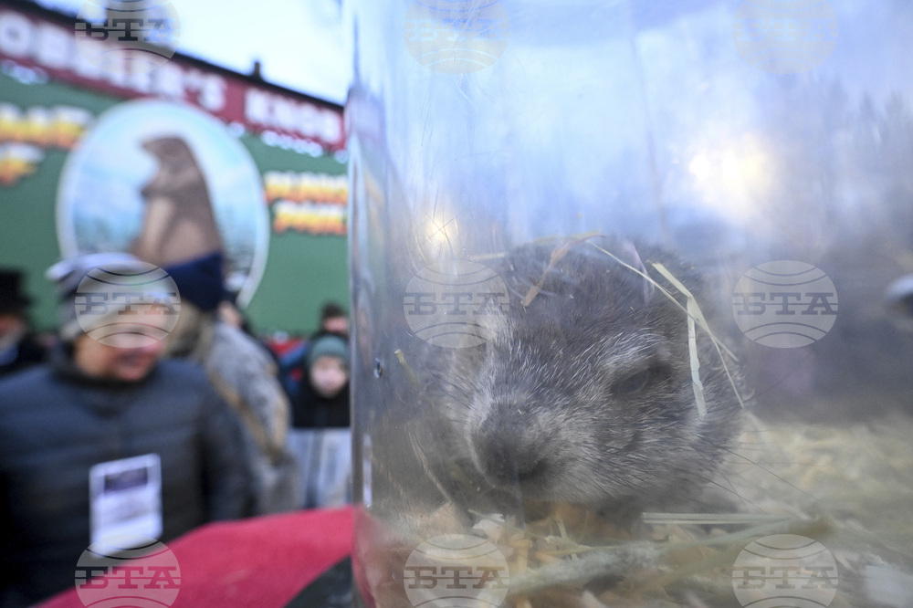 Groundhog Day