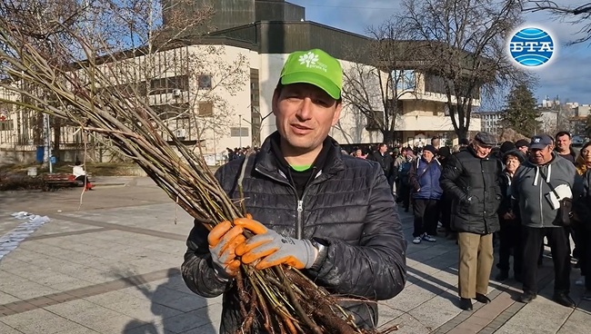 Хиляди плодни, медоносни и паркови дръвчета бяха раздадени от „Гората.бг" днес в Разград 