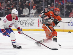 Canadiens Ducks Hockey