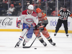 Canadiens Ducks Hockey