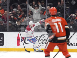 Canadiens Ducks Hockey