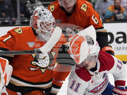 Canadiens Ducks Hockey
