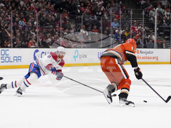 Canadiens Ducks Hockey