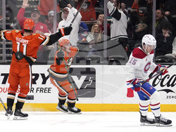 Canadiens Ducks Hockey