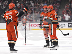 Canadiens Ducks Hockey