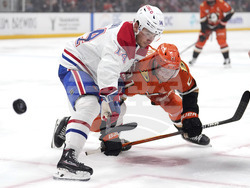 Canadiens Ducks Hockey