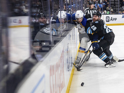 Blues Utah Hockey
