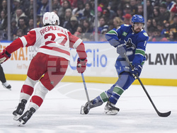 Red Wings Canucks Hockey