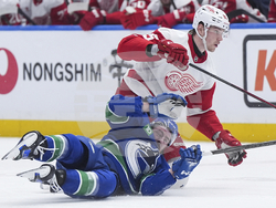 Red Wings Canucks Hockey