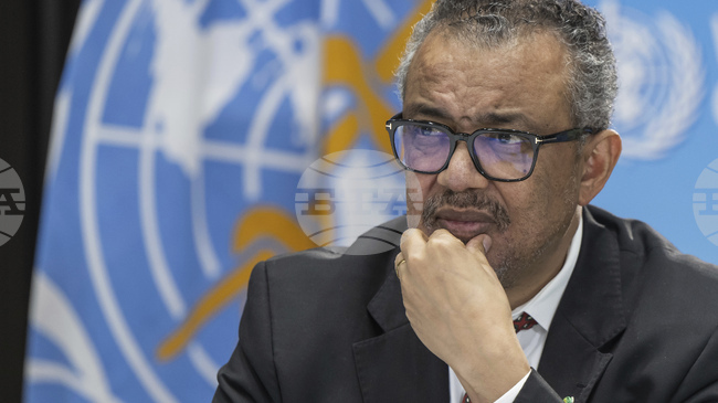 Броят на загиналите от ударите с дронове в суданския щат Кордофан достигна 114 души, съобщи СЗО