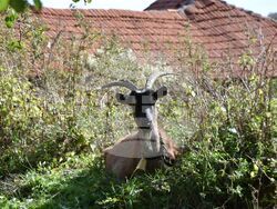 Сърбия - Село Паралово