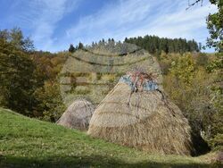 Сърбия - Село Паралово