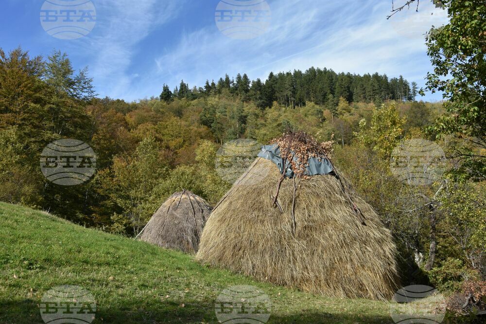 Сърбия - Село Паралово