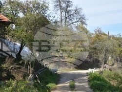 Сърбия - Село Паралово