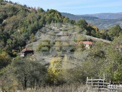 Сърбия - Село Паралово