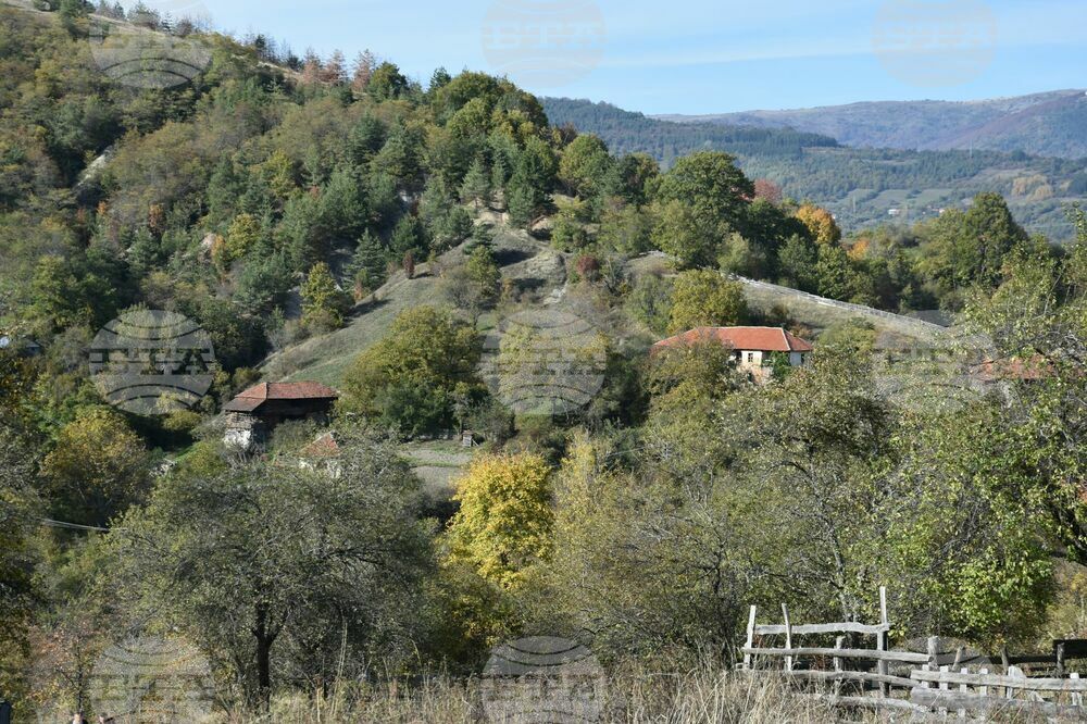 Сърбия - Село Паралово