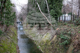 Варна - дървета - санитарна сеч