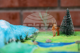 Благоевград - Национален парк „Рила“ - изложба