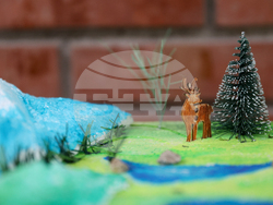 Благоевград - Национален парк „Рила“ - изложба