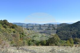 Сърбия - Село Караманица