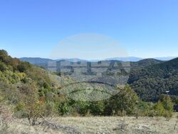 Сърбия - Село Караманица