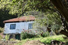 Сърбия - Село Караманица