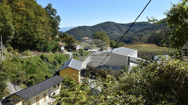 Bern Convention Bureau to visit Serbia in 2026 after Complaints for Alleged Heavy Metal Pollution from Mining