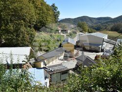 Сърбия - Село Караманица