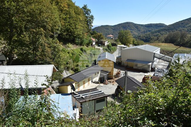 Сърбия - Село Караманица