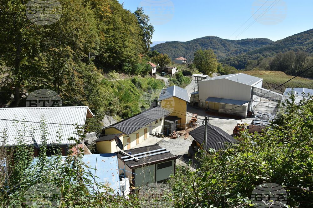 Сърбия - Село Караманица