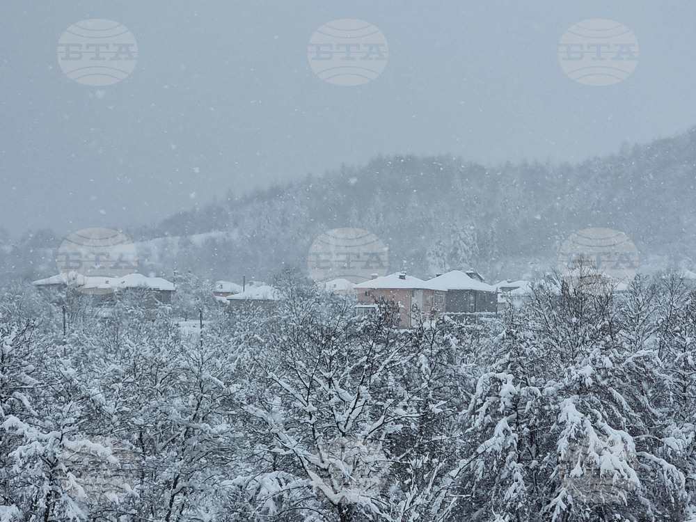 Прогноза за времето 