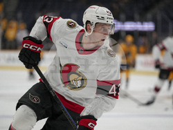 Senators Predators Hockey