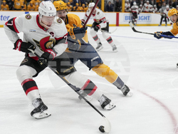 Senators Predators Hockey