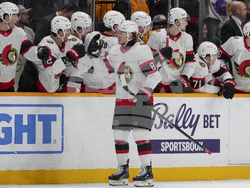 Senators Predators Hockey