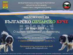 Село Костенец ще бъде домакин на Национално изложение на овчарски кучета