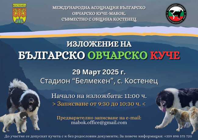 Село Костенец ще бъде домакин на Национално изложение на овчарски кучета