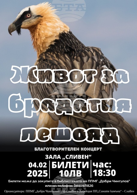 Благотворителен концерт "Живот за брадатия лешояд" ще се състои в Сливен