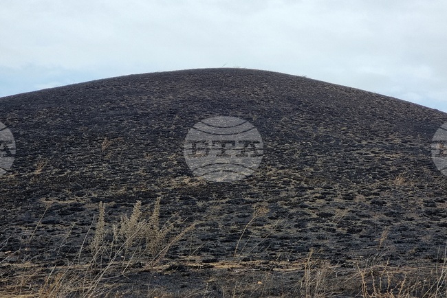 Зачестяват пожарите в треви и храсти в Монтанско 