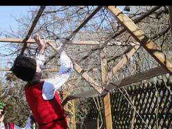 С литургия, зарязване на лози, песни, танци и пресъздаване на обичаи бе отбелязан празникът Трифон Зарезан в Щутгарт