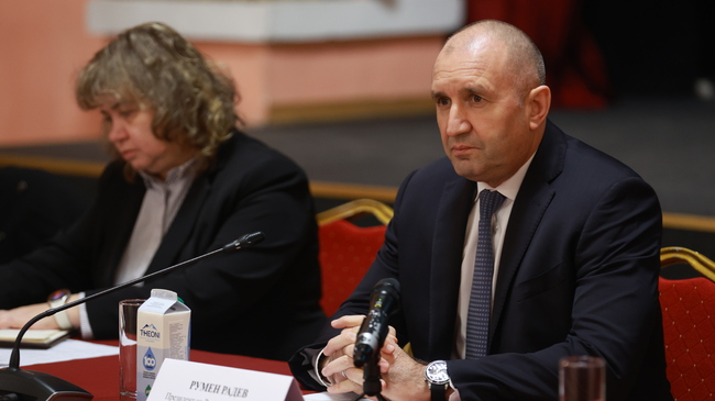 Constitutional Court Admits for Consideration Part of President’s Euro Referendum Claim