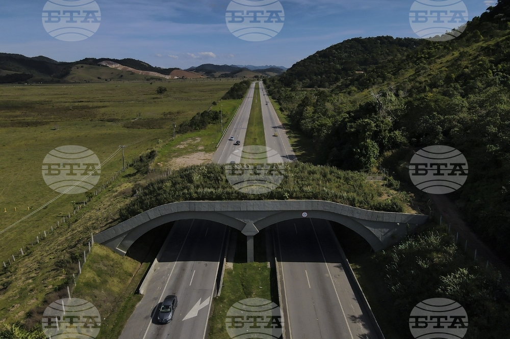 Най-малко 6 души загинаха, а 46 бяха ранени при автобусна катастрофа в Югоизточна Бразилия