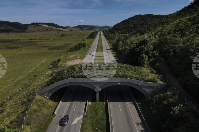 Най-малко 6 души загинаха, а 46 бяха ранени при автобусна катастрофа в Югоизточна Бразилия