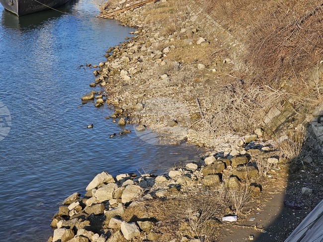 Изтичане на непречистени отпадни води в река Дунав беше спряно след намесата на екоинспектори